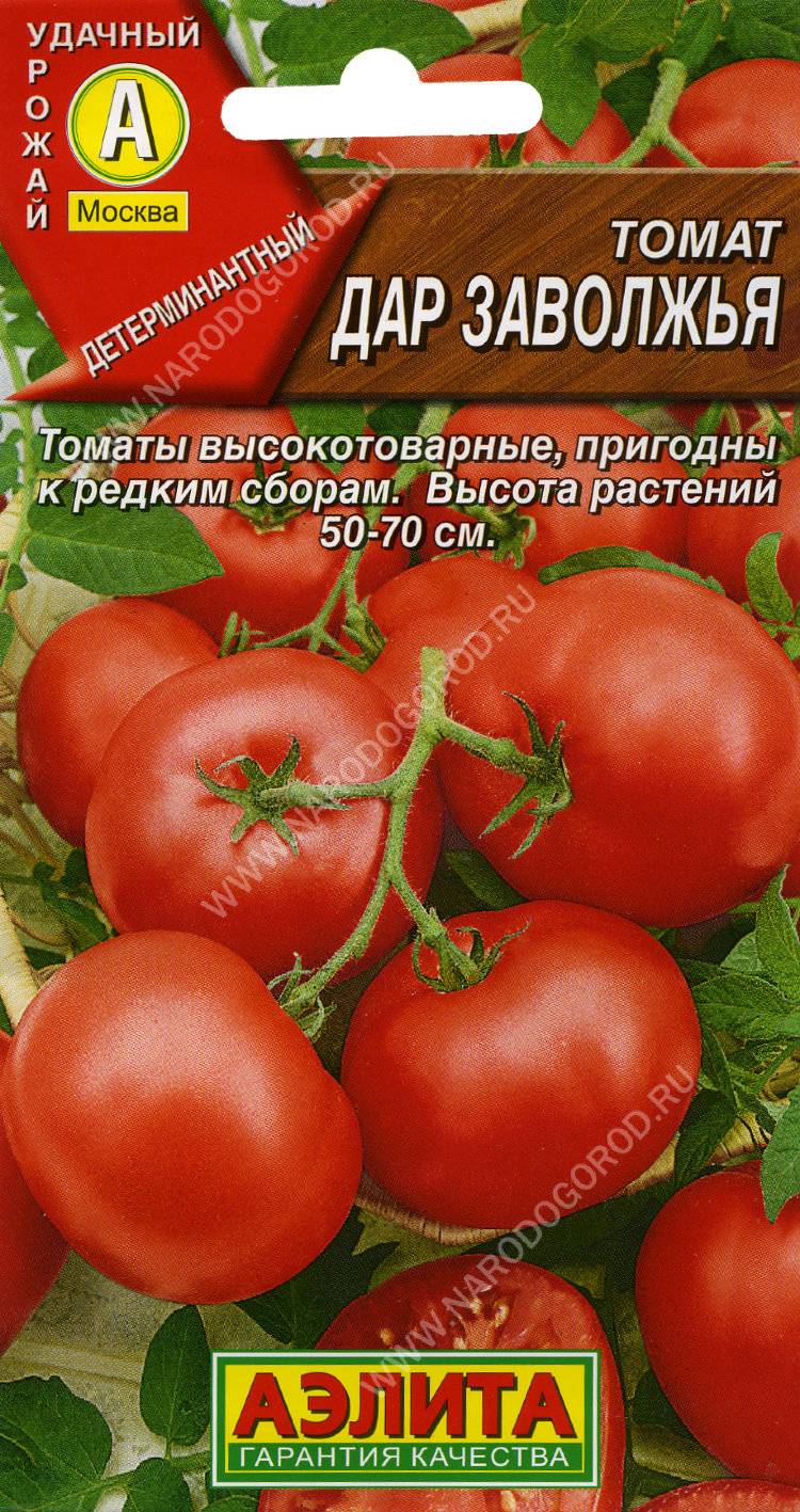 Томаты "гавриш" | каталог томатовед