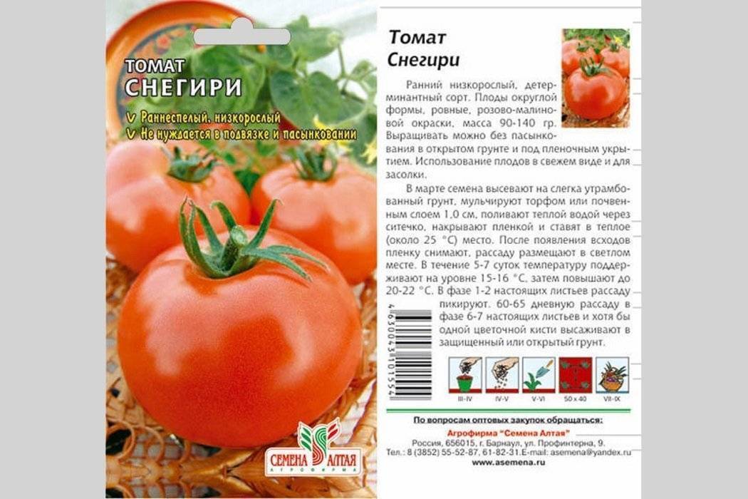 Все о томате Снегирь с фото Отзывы тех, кто сажал Плюсы и минусы сорта Ранний, детерминантный, низкорослый, неприхотливый сорт томата для открытого грунта Купить семена томата Снегирь почтой