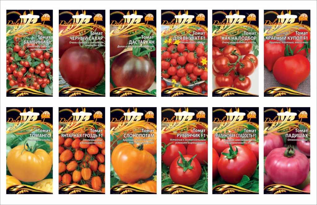 Томат инкас f1 (ф1): описание сорта и характеристики, фото куста