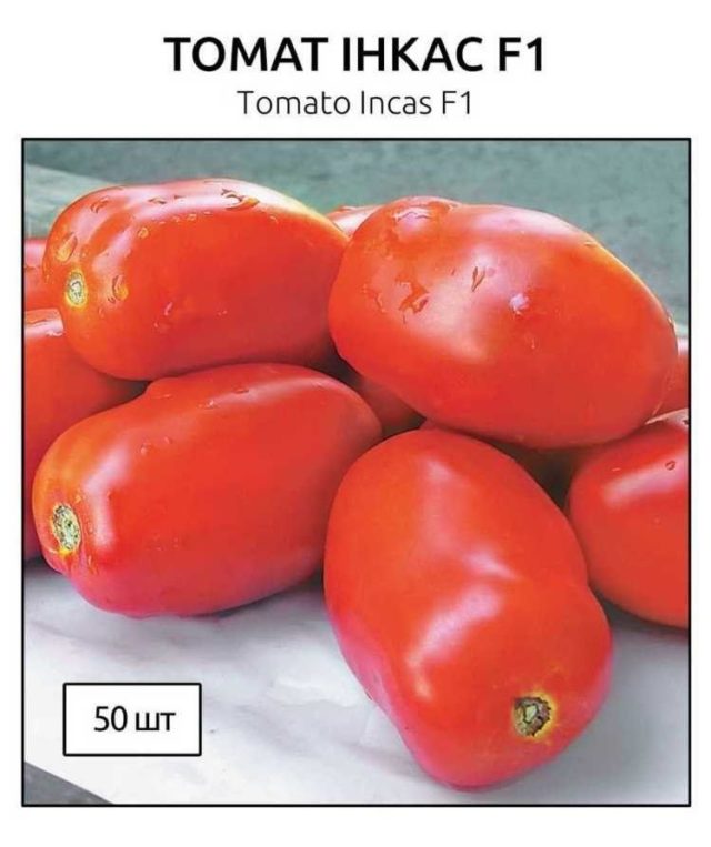 Томат инкас f1: отзывы, характеристика и описание сорта, урожайность, фото