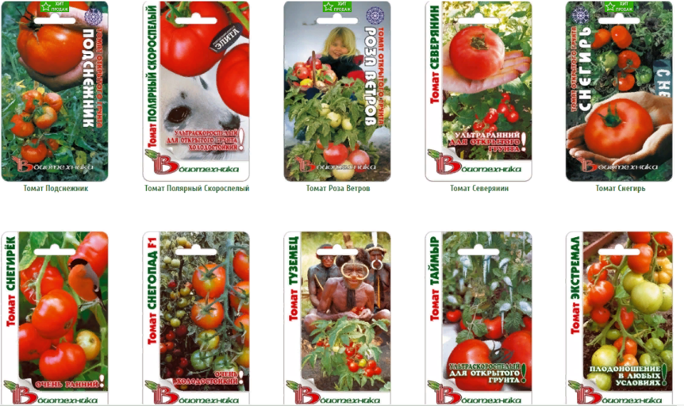 Описание томата снегирь и агротехника выращивания сорта