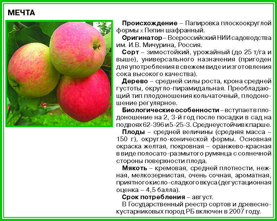 Яблоня народное: описание сорта, фото, отзывы