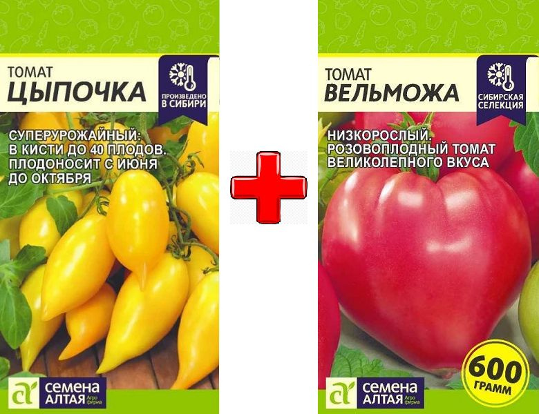 Томат жар-птица: фото, отзывы, урожайность, описание и характеристика