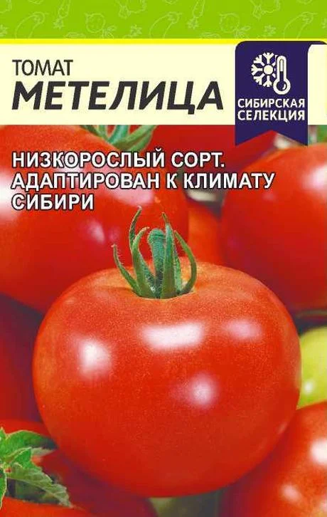 Томат метелица
