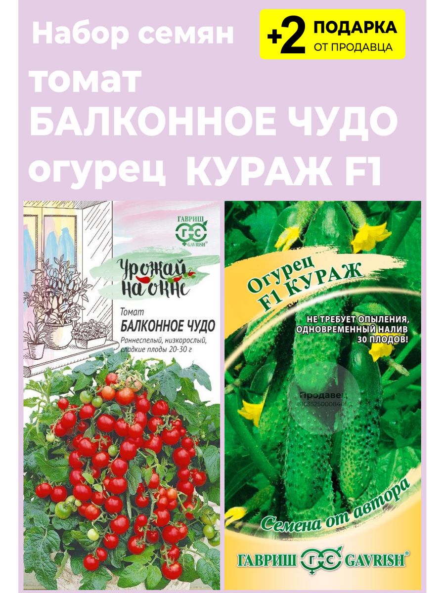 Балконное чудо – наиболее подходящий для выращивания дома сорт помидоров
