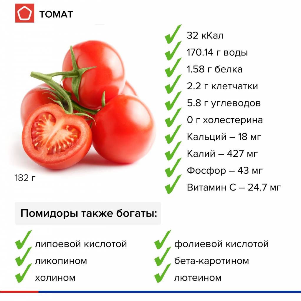 Характеристика и описание сорта томатов “скаталоне” с фото