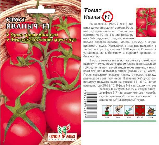 Томат иваныч: отзывы, фото, урожайность, описание и характеристика сорта