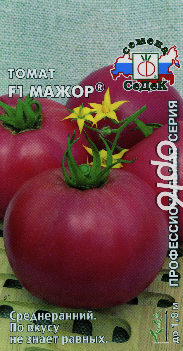 Томат мажор