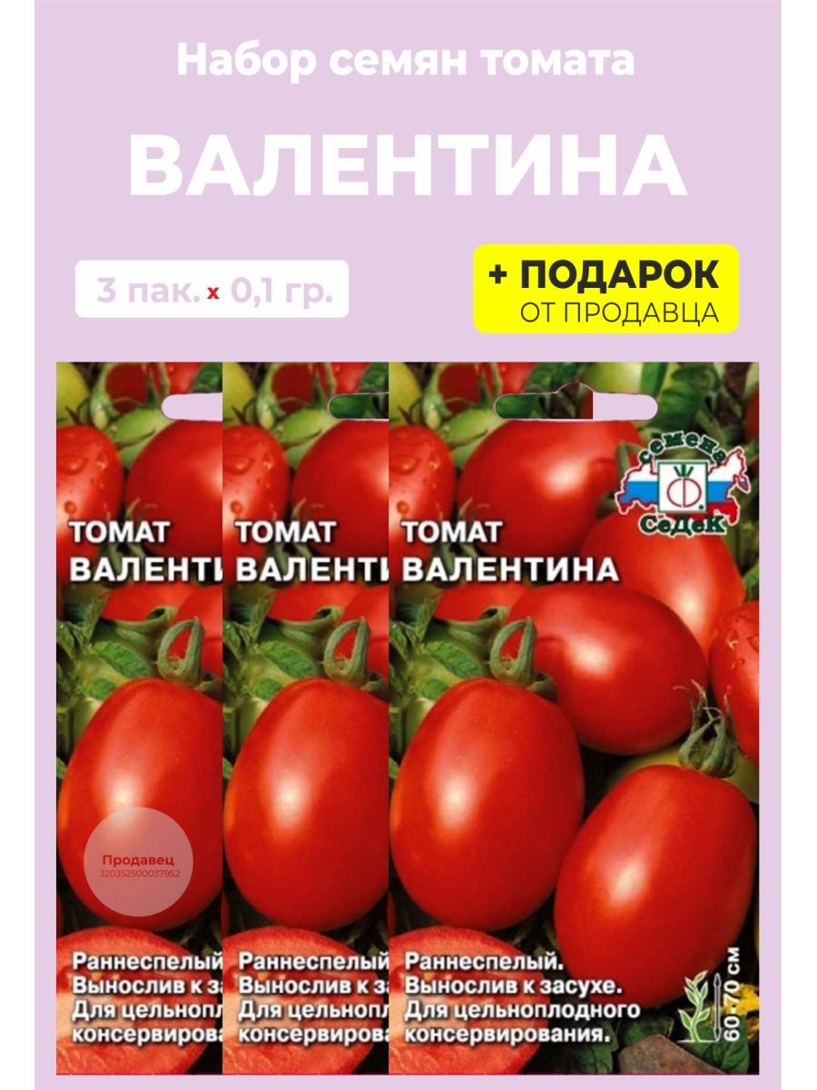 Томат валентина: засухоустойчивый сорт для консервирования