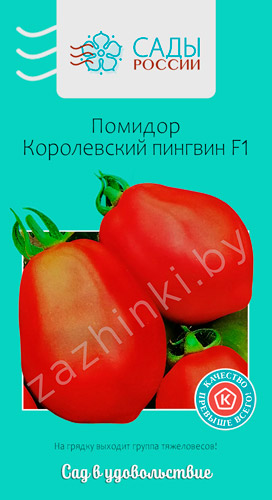 Описание томата королевский пингвин и выращивание гибрида в открытом грунте