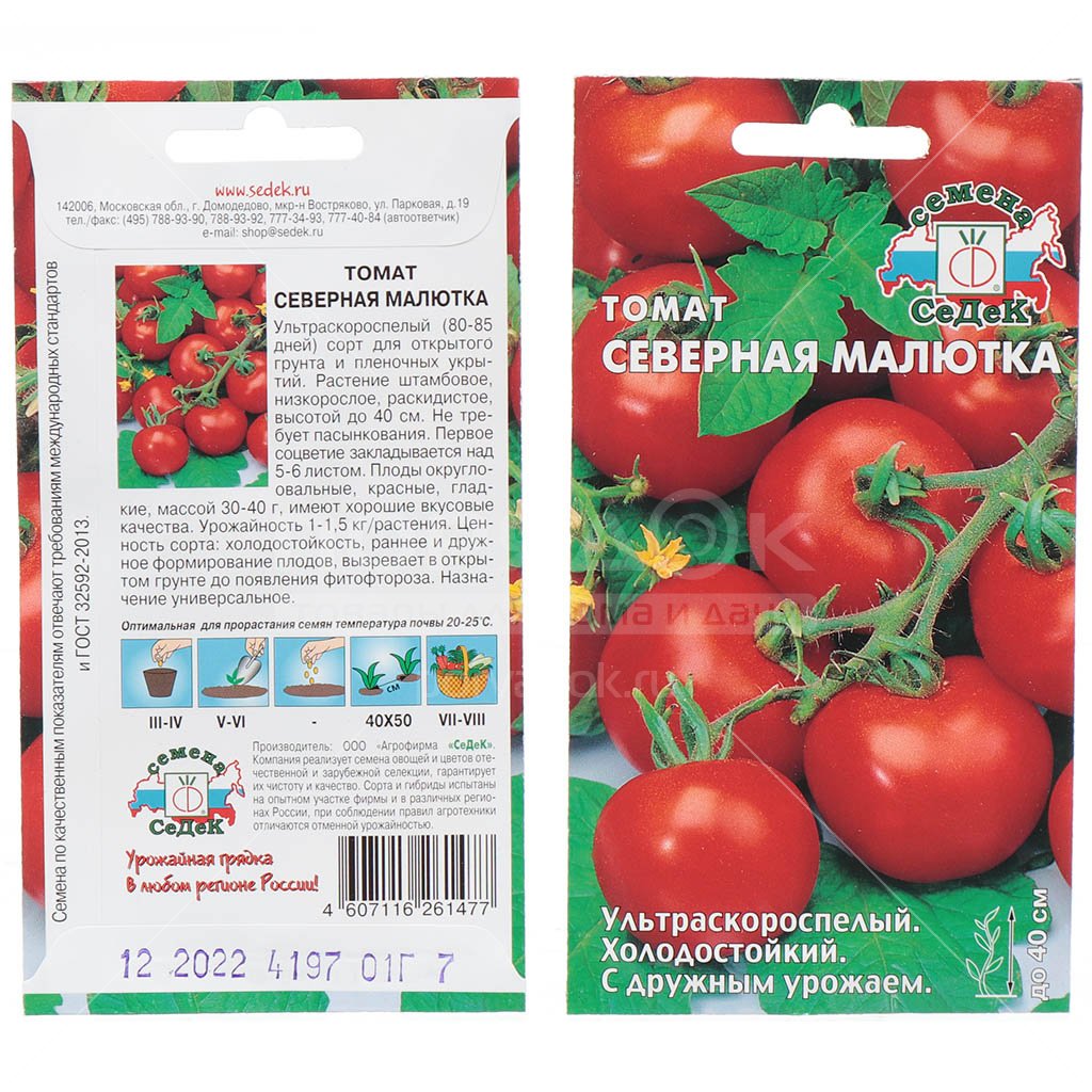 Устойчивый к похолоданиям, продуктивный томат