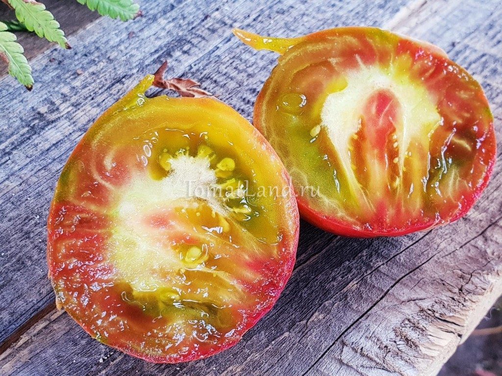 Лучшие сорта слив с фото и описанием. сливы желтые, красные, синие