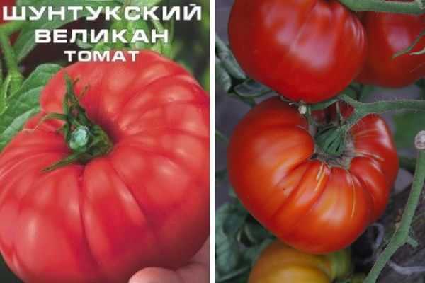 Крах «гиганта»: почему с рынка новосибирска уходит легендарный ритейлер и кто придёт ему на смену
