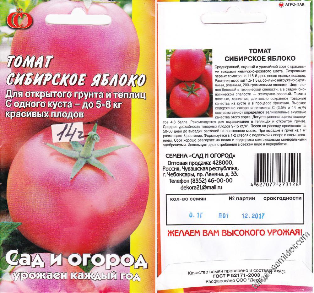 Томат сибирское яблоко: характеристика и описание сорта, его урожайность с фото