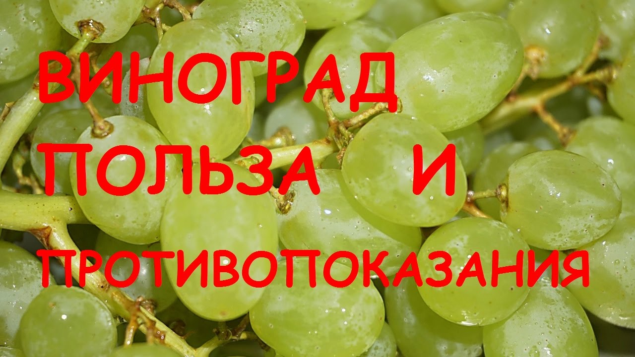 Лучшие черные сорта винограда