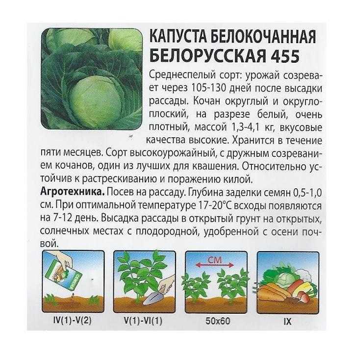 Сорта бобов овощных в госреестре — описание, характеристики, рейтинги и сводная таблица