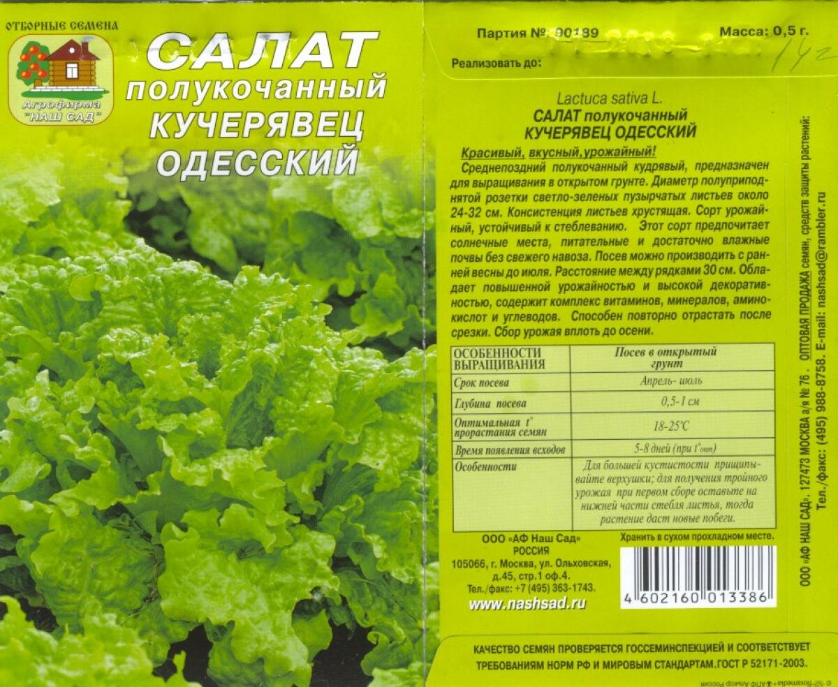 7 видов салата для вашего сада. лучшие сорта. посев, выращивание и уход. описание, фото — страница 3 из 8 — ботаничка