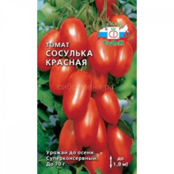 Томат сосулька черная: характеристика и описание сорта, отзывы, фото, урожайность
