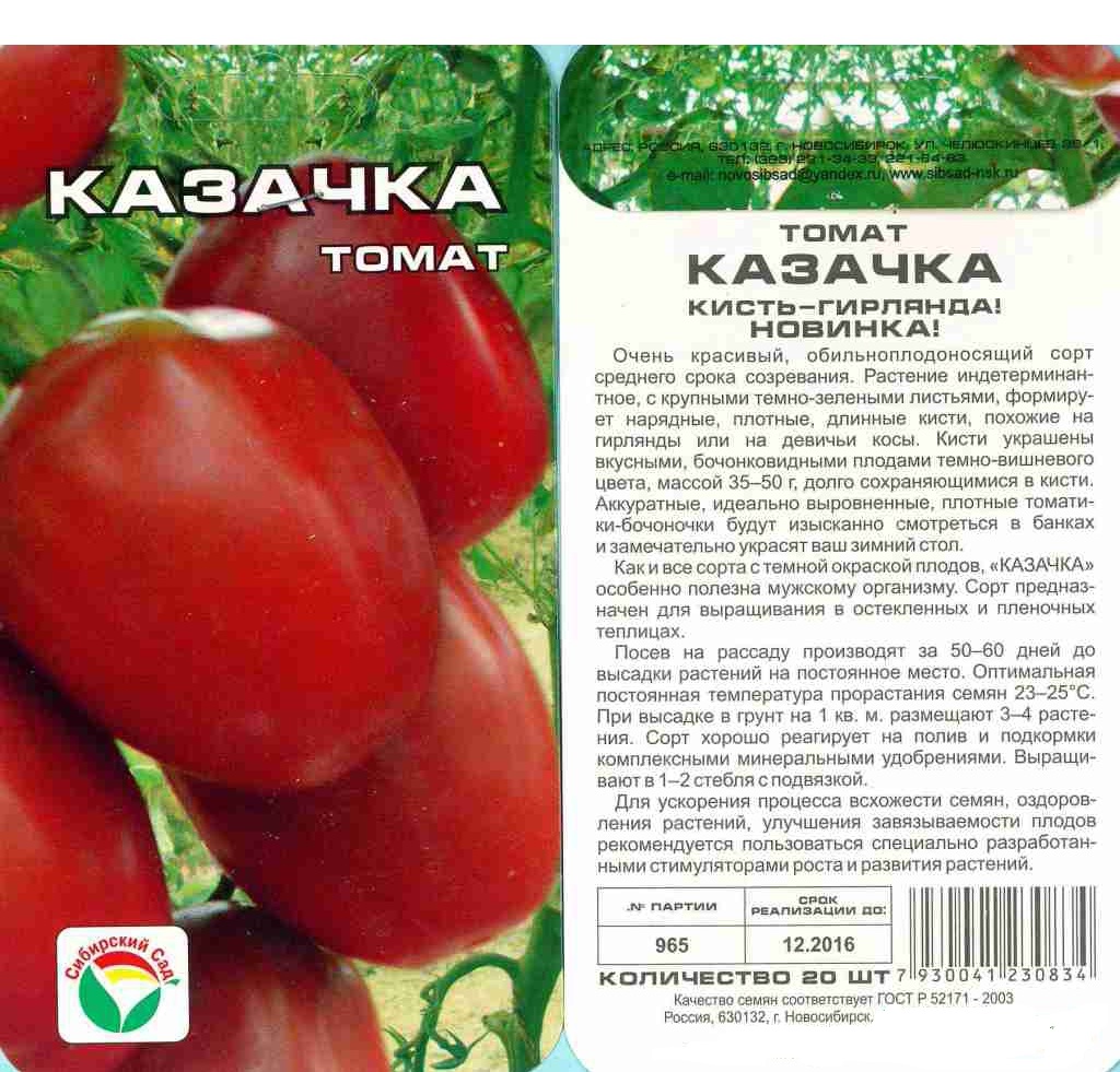Томат казачка — характеристика и описание сорта, фото, достоинства и недостатки, выращивание, отзывы