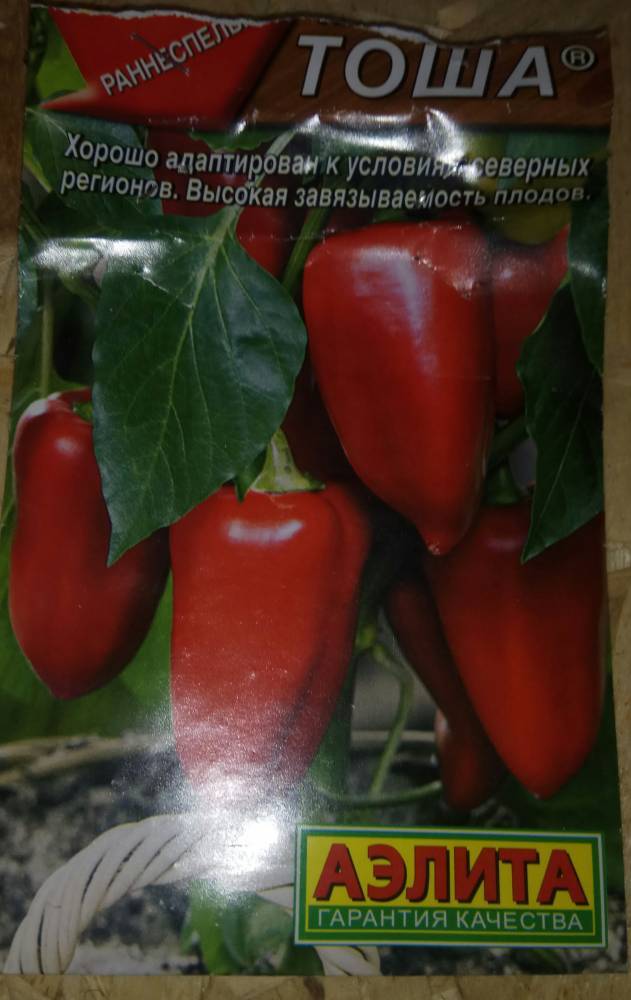 Сорт помидора «королевский пингвин»: фото, видео, отзывы, описание, характеристика, урожайность
