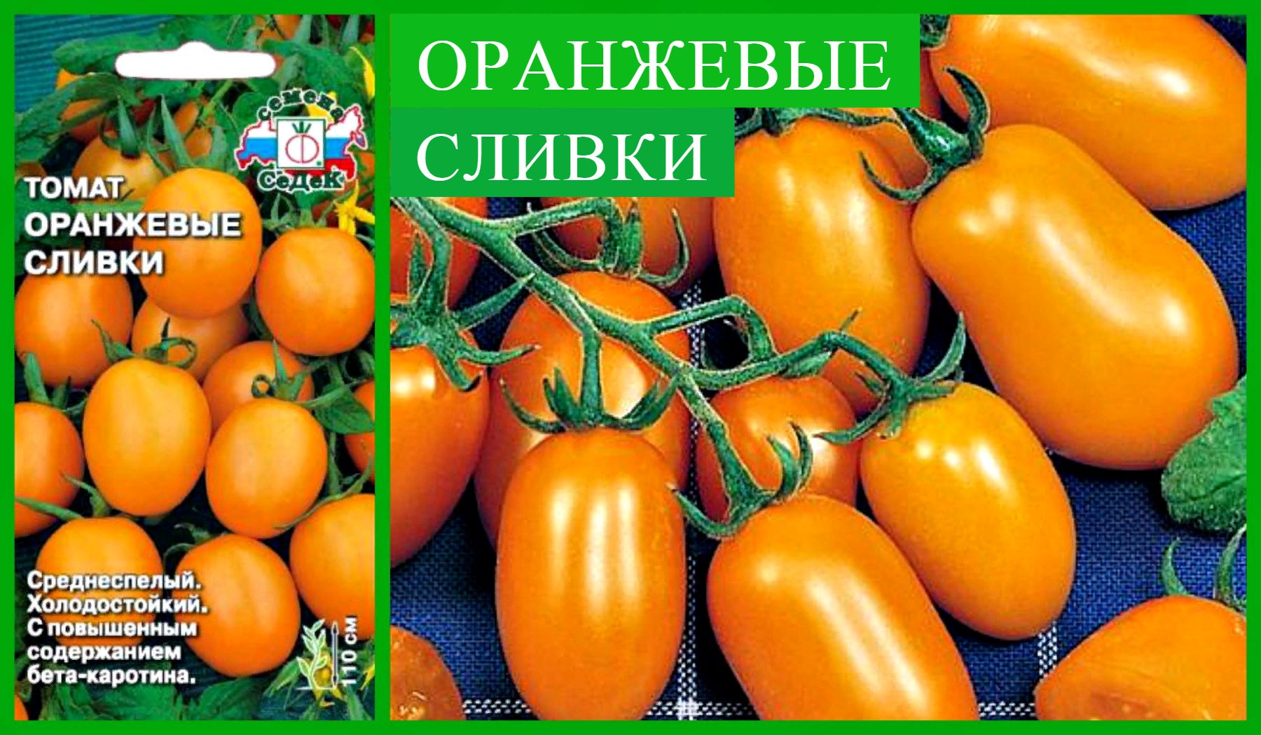 Высокорослые гиганты устойчивые к фитофторе