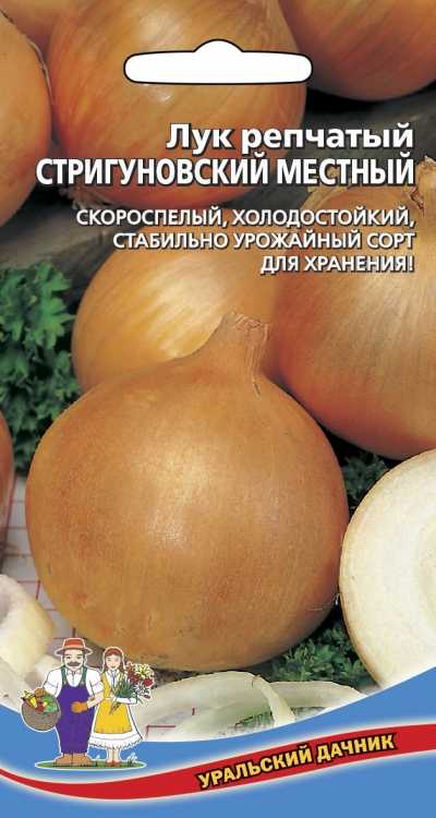 Лук стригуновский: описание сорта, отзывы, фото, характеристика, достоинства и недостатки, особенности выращивания