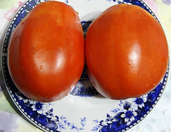 Томат бочковой минусинский красный: описание сорта, отзывы, фото