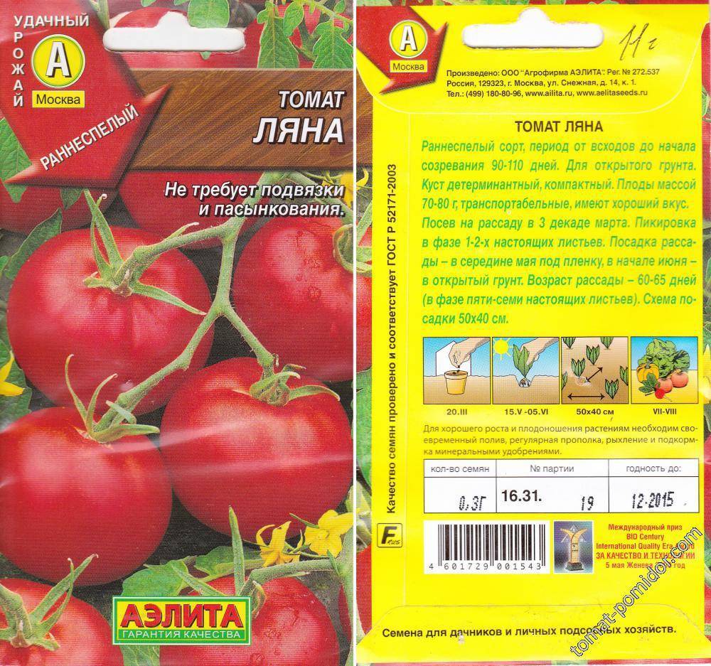 Томат русский размер