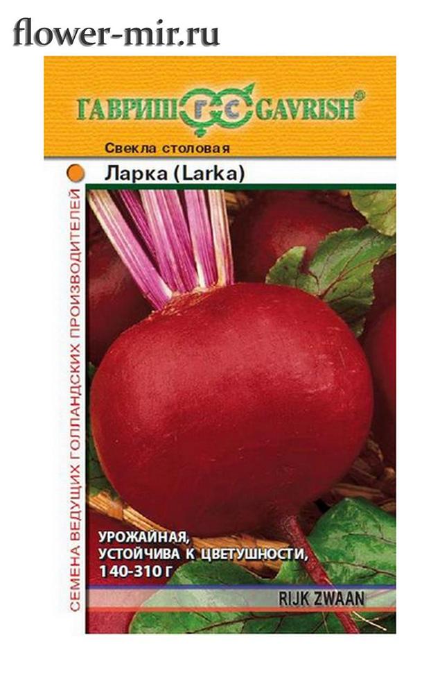 Описание сорта свеклы ларка