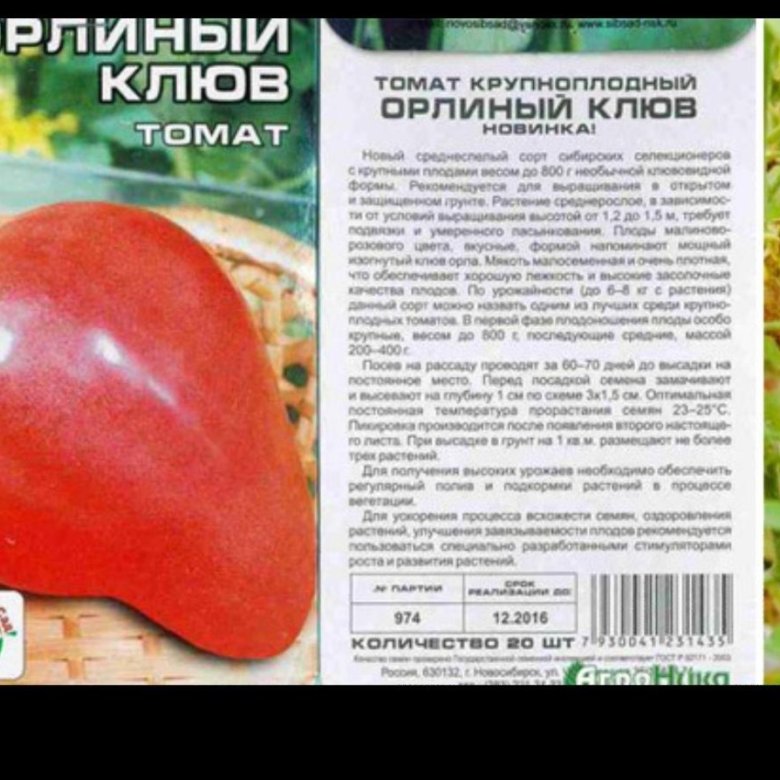 Низкорослые томаты: топ-27 лучших сортов - для теплицы и открытого грунта, непасынкующийся помидоры, урожайные, ранние гибриды - иди в сад
