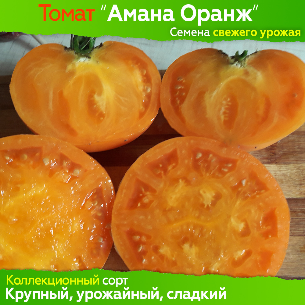 Томат амана оранж - описание сорта, характеристика, урожайность, отзывы, фото