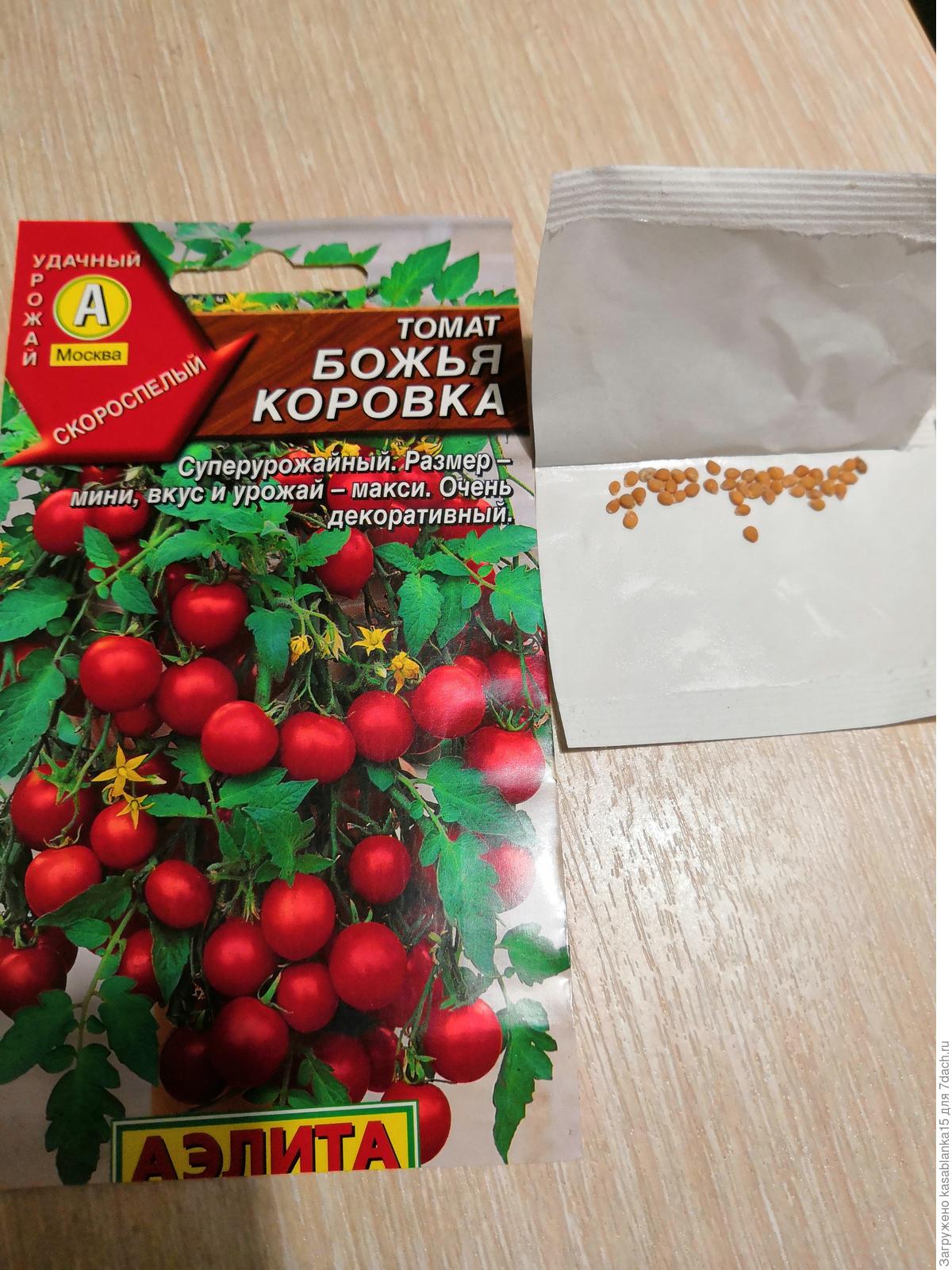Томат божья коровка: описание сорта, отзывы, фото, урожайность