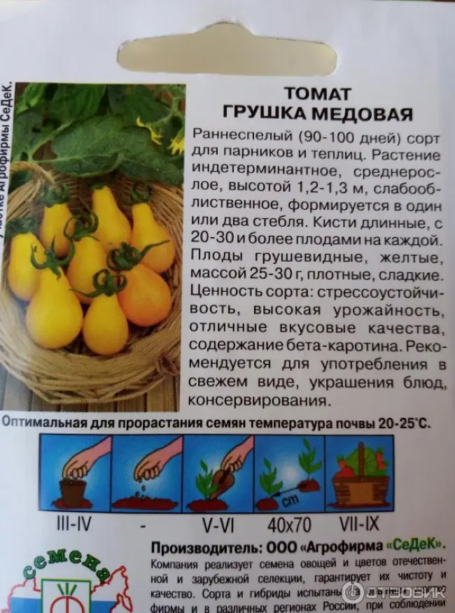 Томат золотая капля (желтая капля): описание сорта, фото, отзывы, посадка и уход