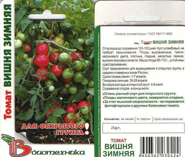 Описание сорта томата черри вишня красная, выращивание и урожайность