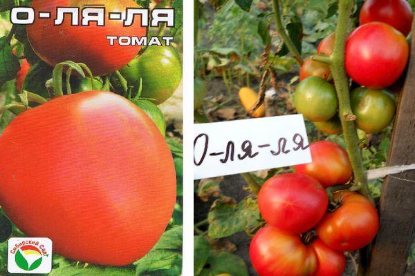 Лучшие сорта низкорослых помидоров: описания и фото