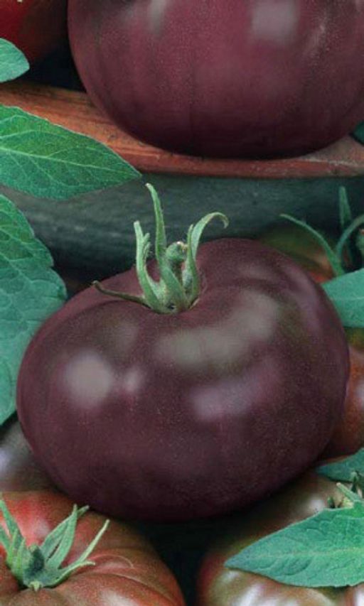 Описание томата сахар коричневый и его культивирование