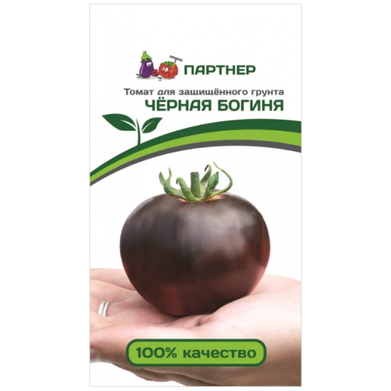 Томат черная богиня: отзывы, характеристика и описание сорта, фото, видео