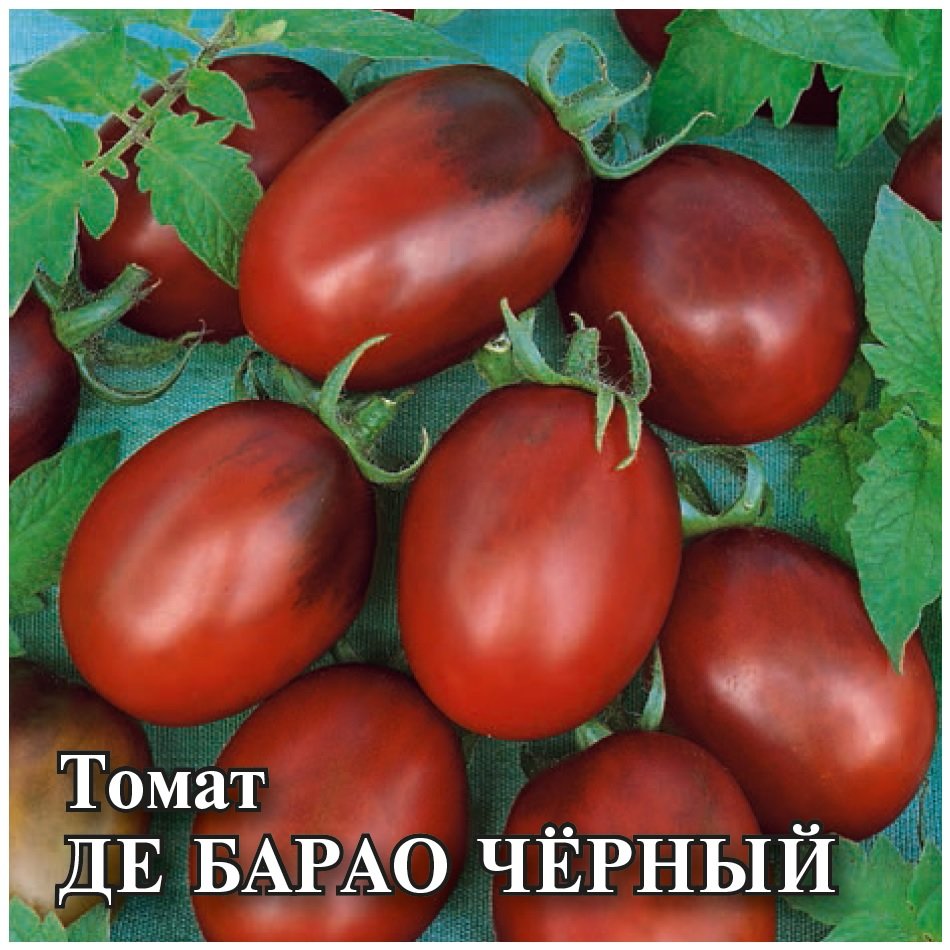 Сорт томата де барао: фото, отзывы, описание, характеристики.