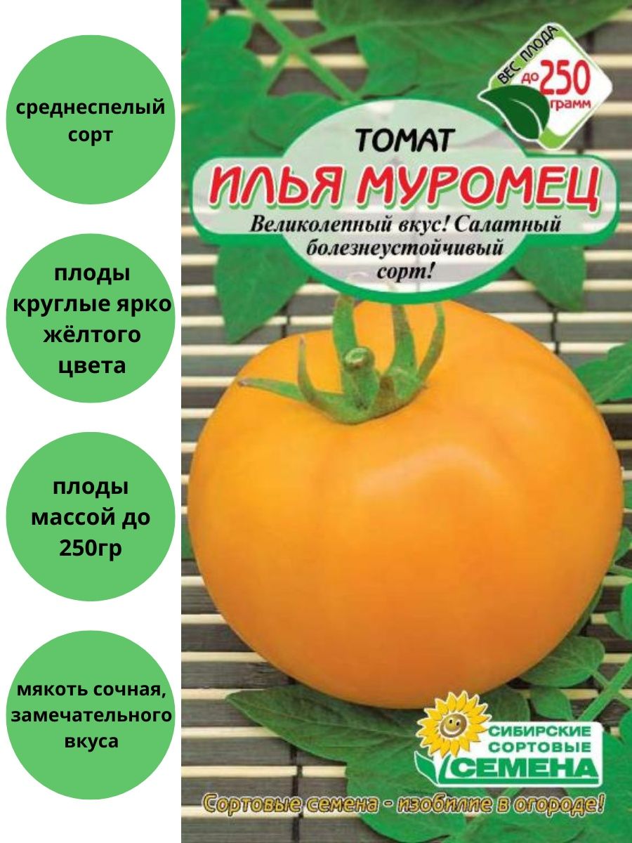 Богатырские плоды с сладким вкусом — томат илья муромец: описание сорта и его характеристики