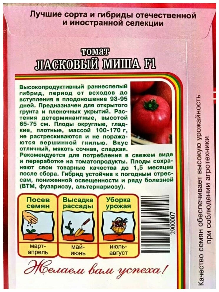Помидоры «мишка косолапый»: описание сорта, характеристики, агротехника, отзывы