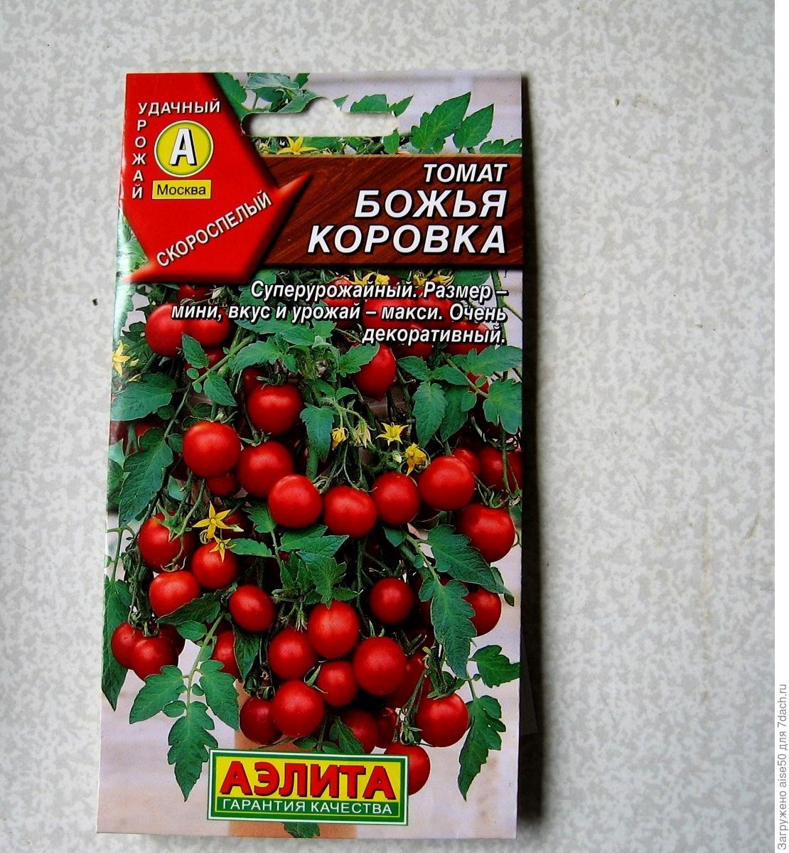 Томат божья коровка: характеристика и описание сорта, урожайность, отзывы