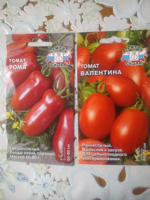 Томат русская империя отзывы фото урожайность
