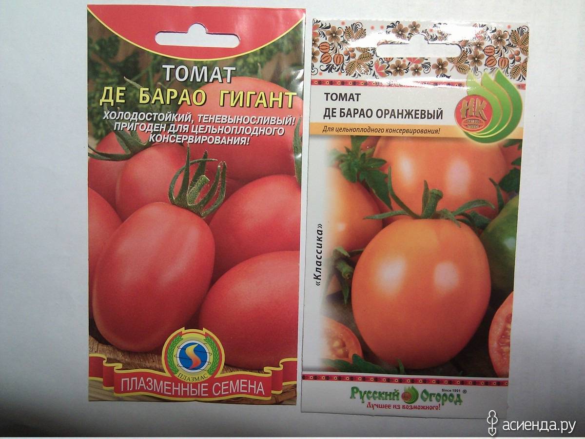 Томат русский богатырь: характеристика и описание сорта с фото