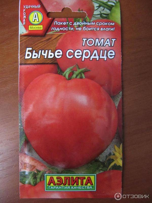 Раннеспелый сорт с отличной устойчивостью — томат бычье сердце компакт: особенности выращивания