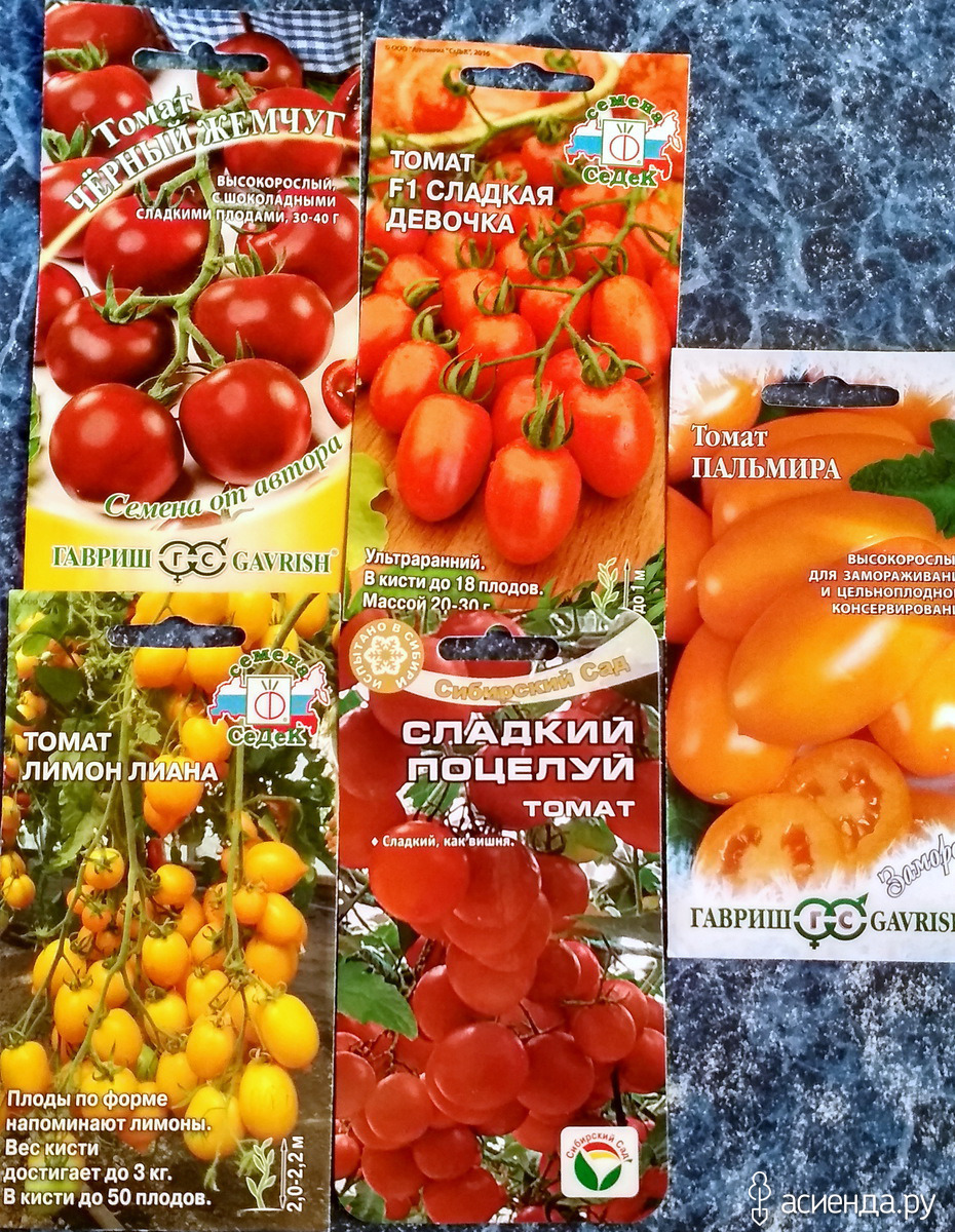 Томат амана оранж: отзывы, фото, урожайность, описание и характеристика