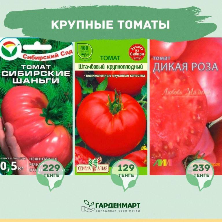 Томат сибирские шаньги: описание сорта, отзывы, фото, урожайность