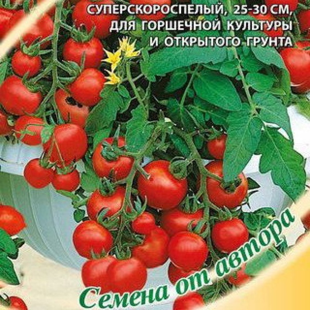 Характеристика и описание сорта томата снегирь, его урожайность