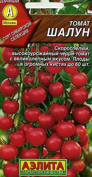 Томат шалун: характеристика и описание урожайного сорта с фото