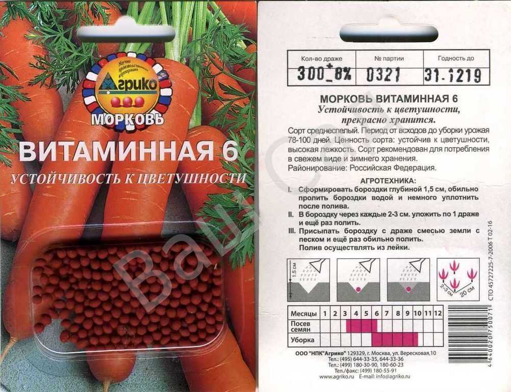 Лучшие ранние сорта моркови для регионов россии
