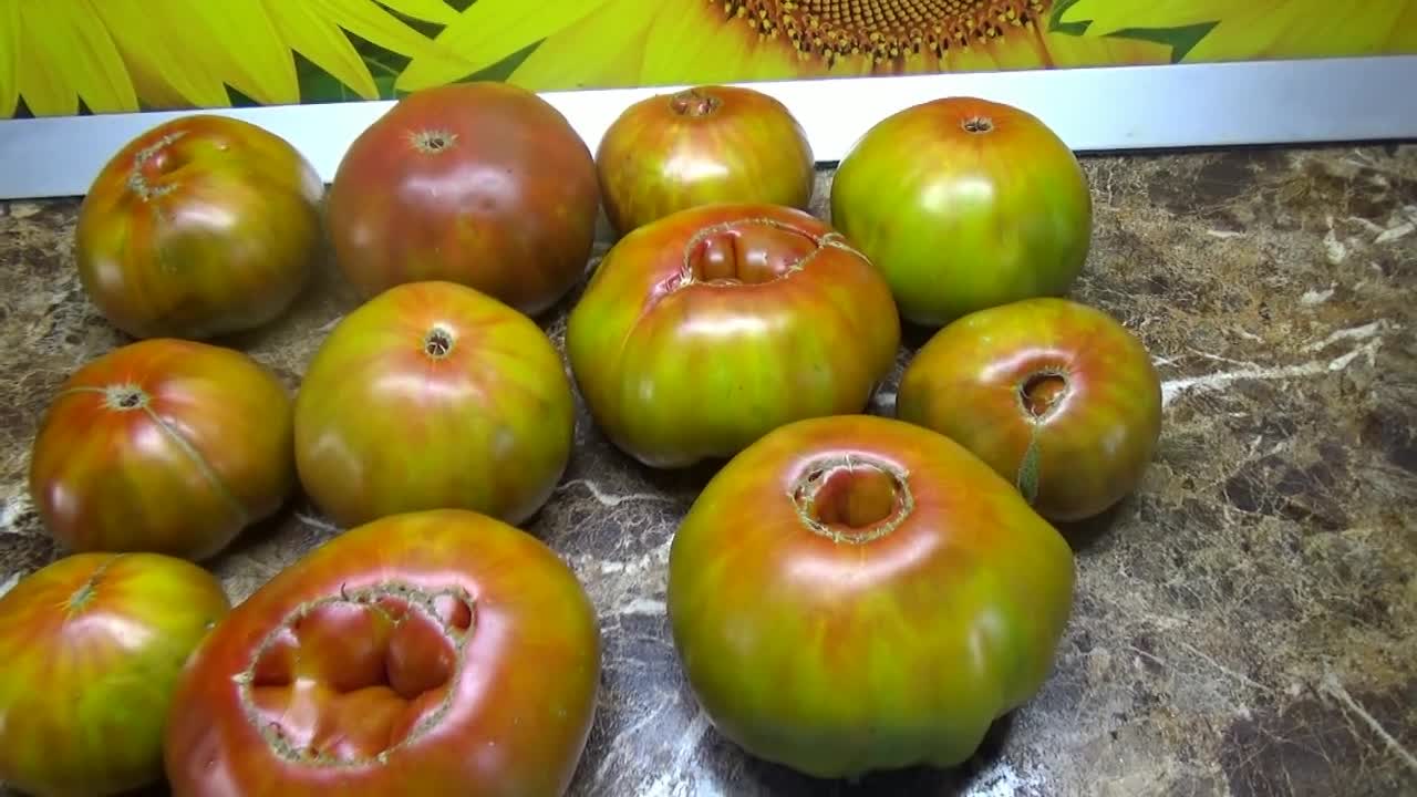 Томаты триколор описание сорта - у дачки
